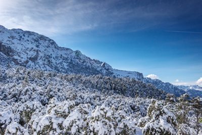 Winterlandschaft auf Mallorca
