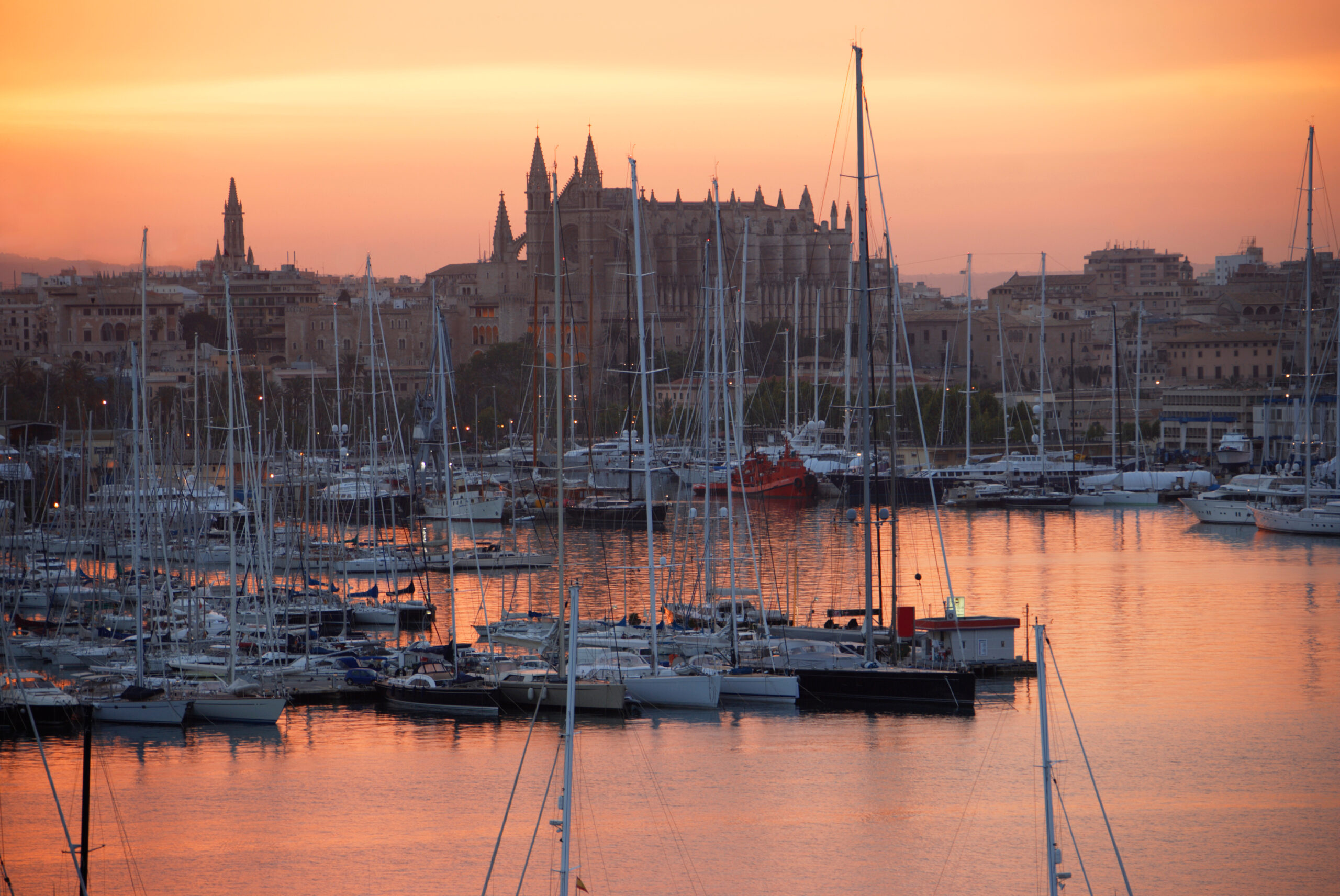 Bauen auf Mallorca 2026